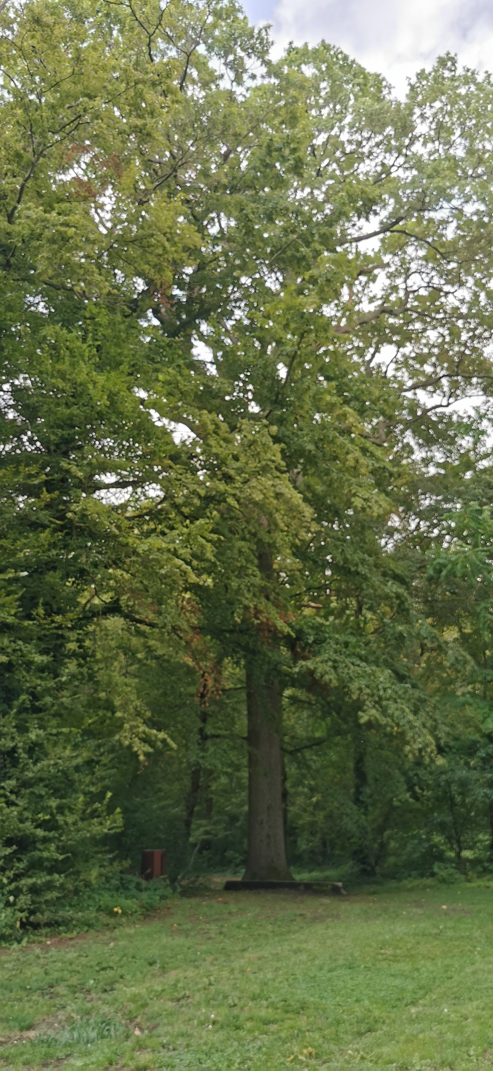 Photo n° 2 de l'avis de Martial.. fait le 17/09/2021 à 12:07