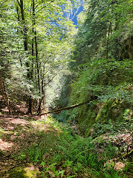Photo n°19 de Ô berges du Lys à Cazeaux-de-Larboust ()