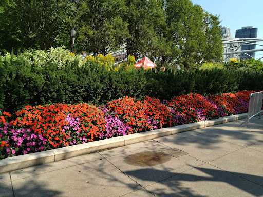 Ice Cream Shop «FRÍO Gelato - 517 Dempster, Evanston», reviews and photos, 517 Dempster St, Evanston, IL 60201, USA