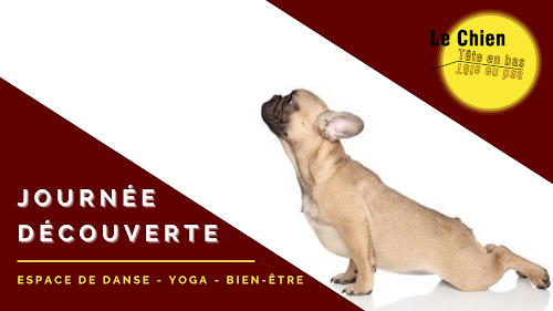 Centre de yoga Le chien tête en bas Louviers