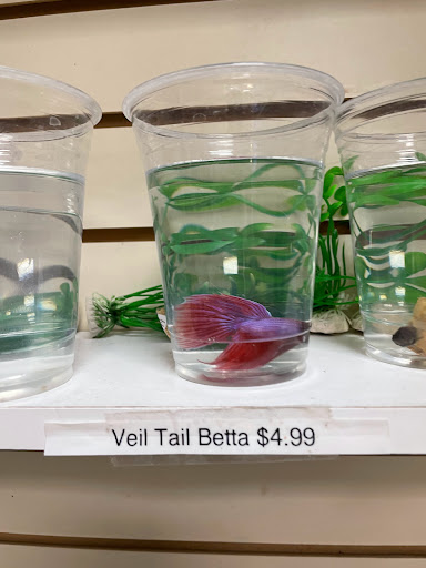 Pet Store «Animal Ark», reviews and photos, 175 S 500 E St, American Fork, UT 84003, USA