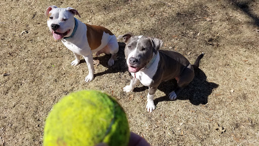 Pet Supply Store «Premier Pet Supply», reviews and photos, 15399 Merriman Rd, Livonia, MI 48154, USA