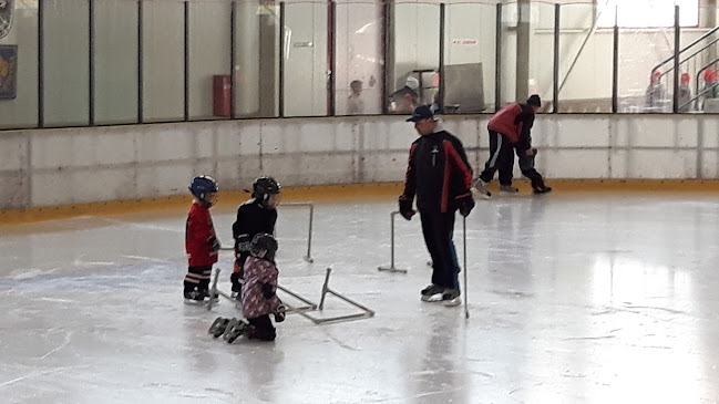 V Průhonech 183, 537 03 Chrudim 3