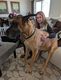 EntirelyPets - Photo 5 - Car repair in Union City, CA, Fremont