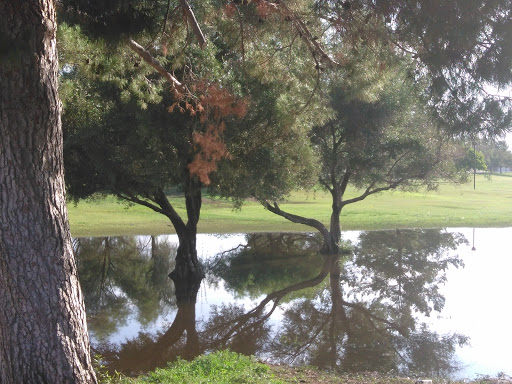 Park «Conocido Park», reviews and photos, 15645 N 31st Dr, Phoenix, AZ 85053, USA