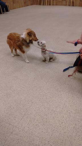 Pet Supply Store «PetSmart», reviews and photos, 128 Bailey Farm Rd, Monroe, NY 10950, USA