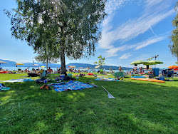 Strandbad Weyregg'in fotoğrafı uçurumlarla desteklenmiş