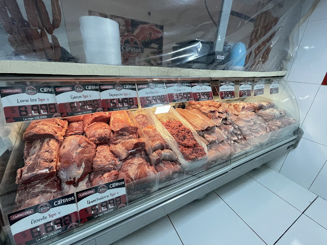 Opiniones de Carniceria LOS CARLITOS en Recoleta - Carnicería