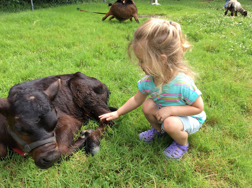 Day Care Center «Precious Time Child Development Center», reviews and photos, 1600 Early Settlers Rd, North Chesterfield, VA 23235, USA