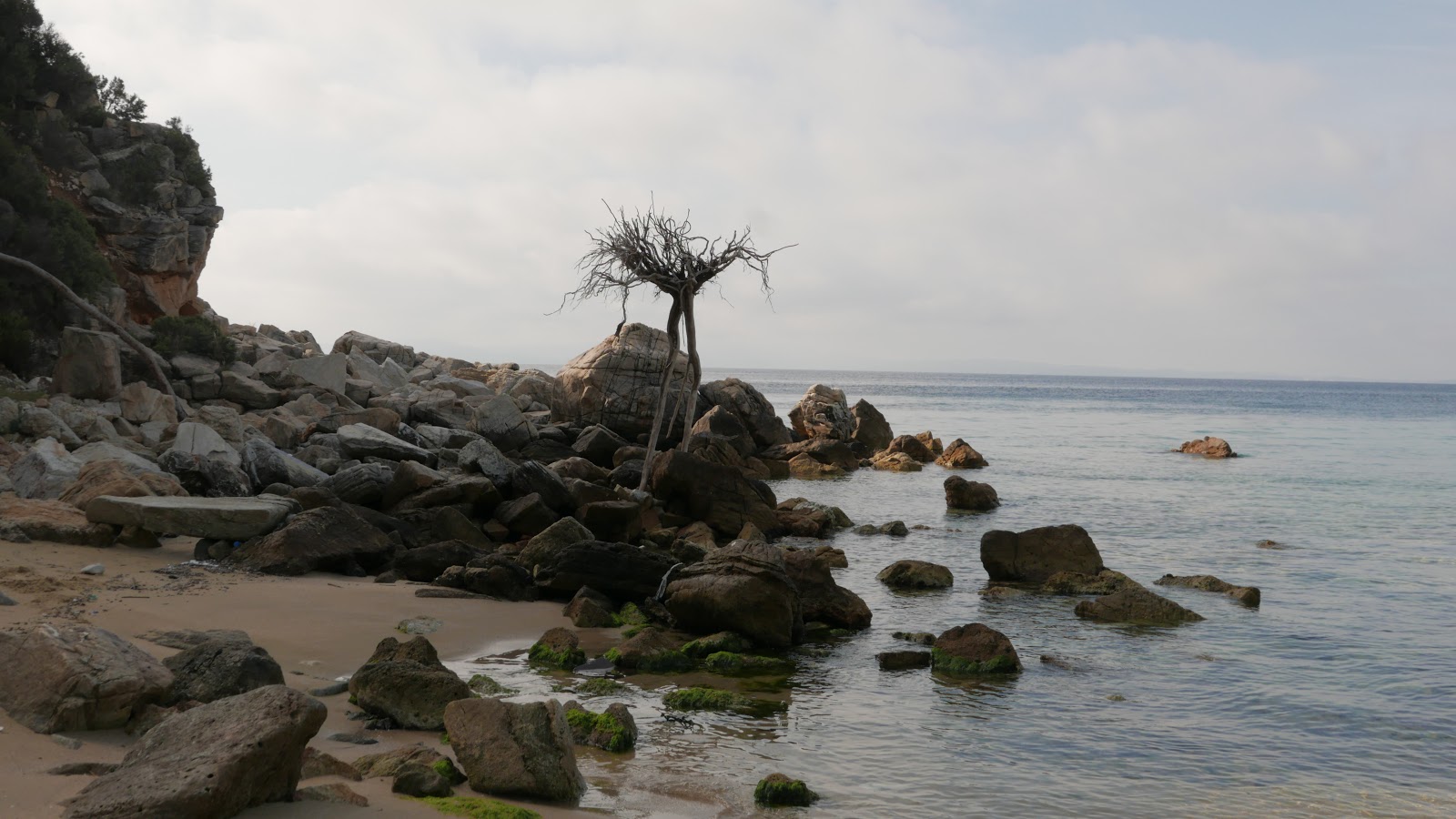 Stratoni beach IIX的照片 具有部分干净级别的清洁度