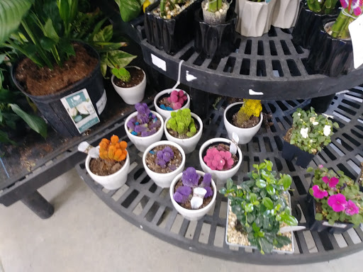 Department Store «Walmart Supercenter», reviews and photos, 900 Stillwater Ave, Bangor, ME 04401, USA