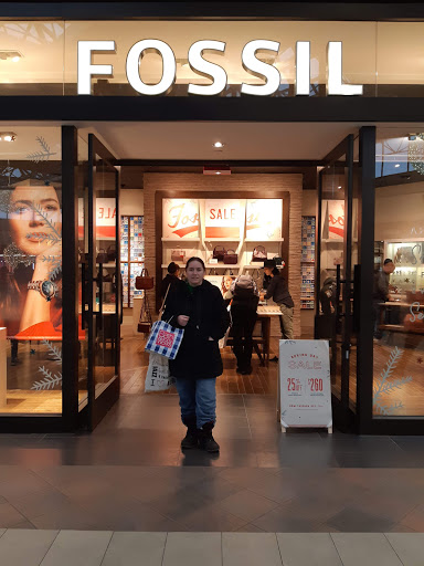 Fossil Store