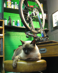 Bikealot - Photo 4 - Car repair in Austin, TX, Austin