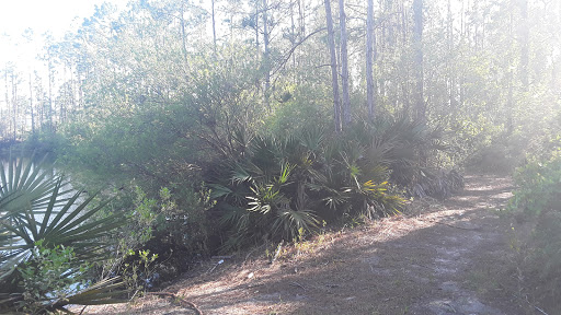 Park «Cain Griffin Park», reviews and photos, E 17th St, Lynn Haven, FL 32444, USA