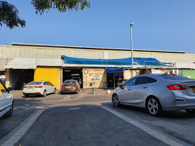 רחיצת מכוניות ידנית