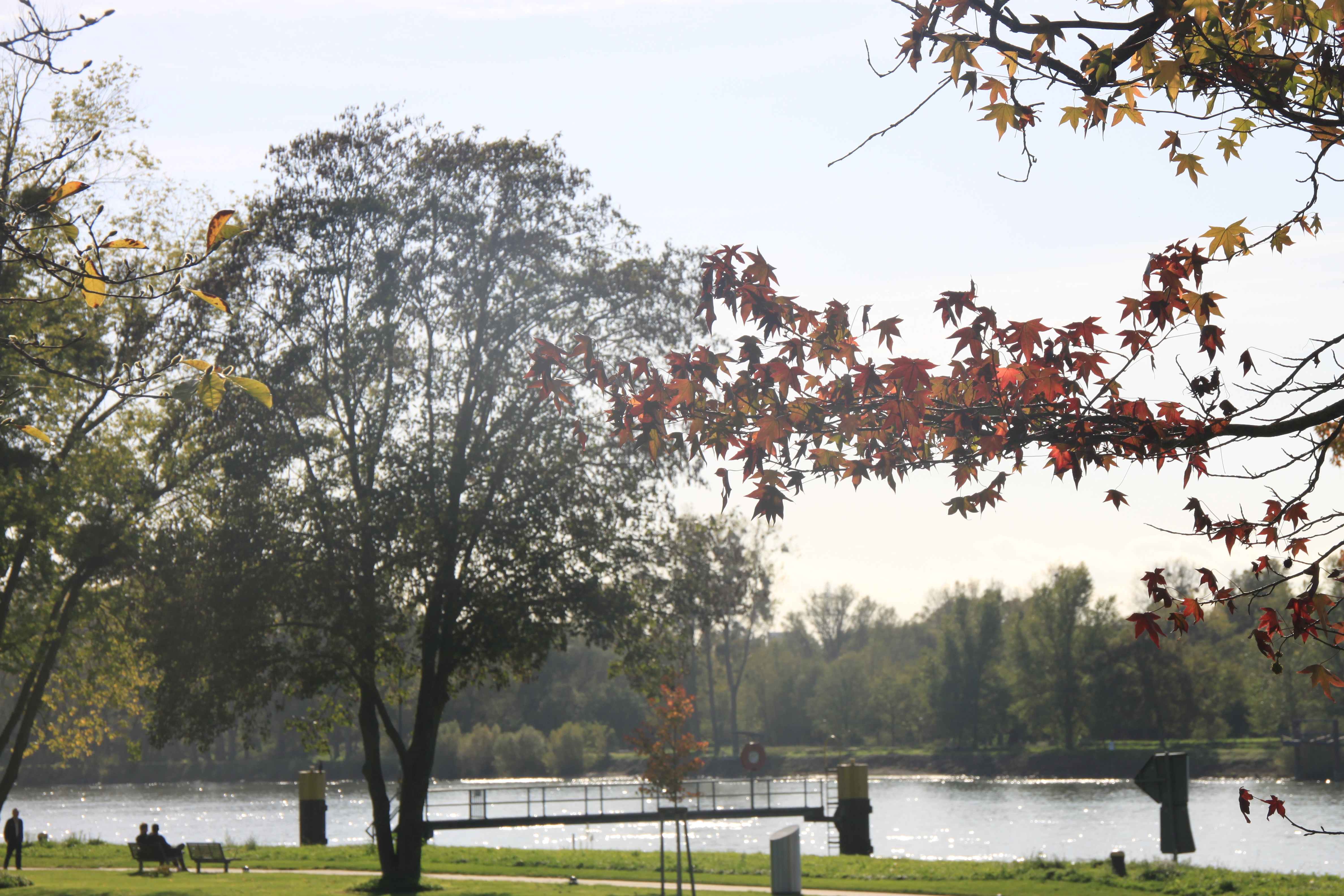 Photo n° 2 de l'avis de Le.a fait le 27/10/2022 à 14:46