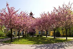 Orthopedic Center Martin-Ulbrich-Haus Rothenburg gGmbH image