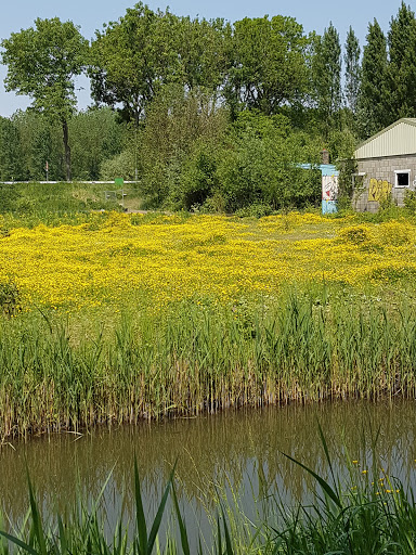 Kattenpension Valkenstein