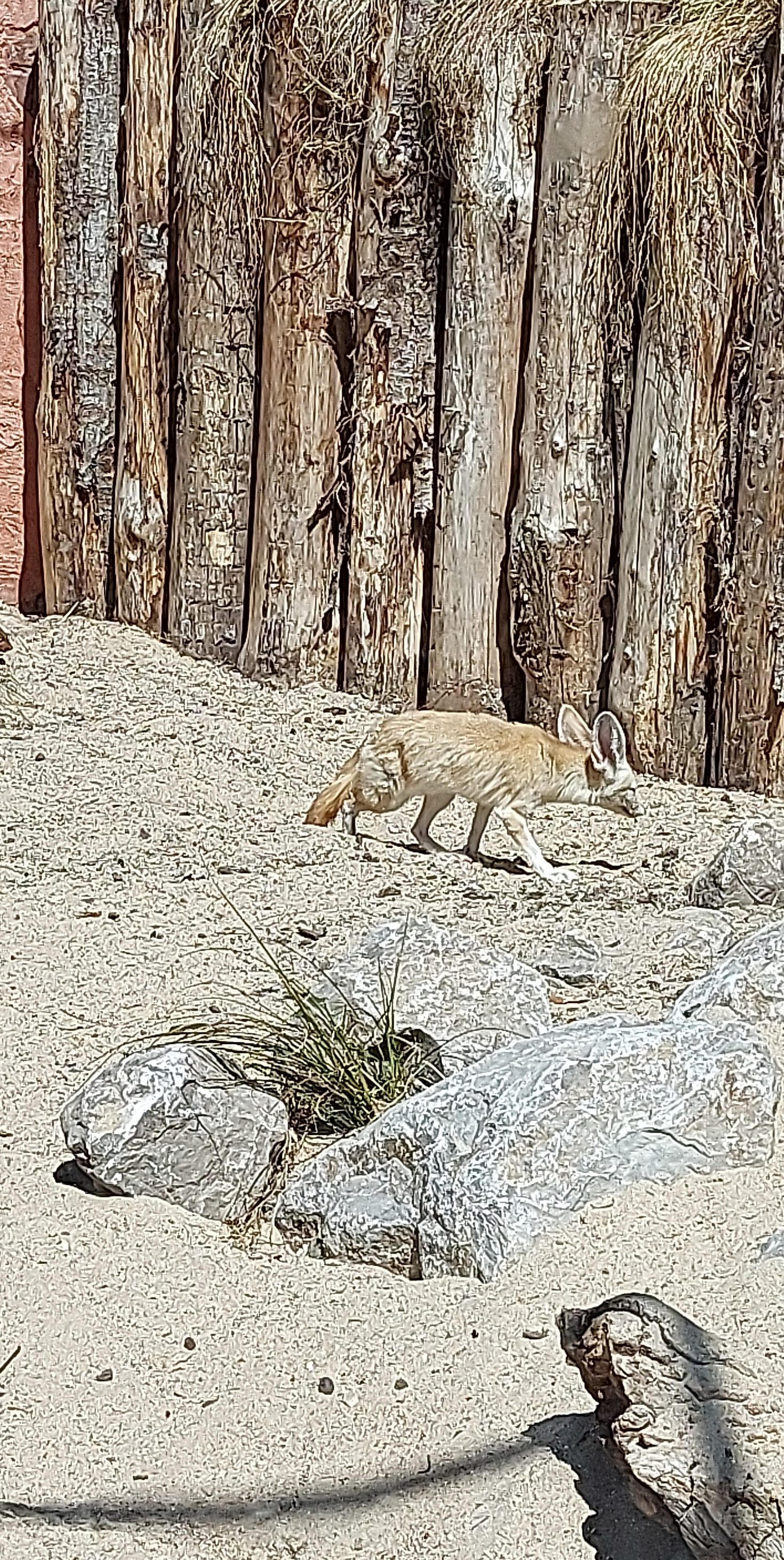 Photo n° 2 de l'avis de Raphaël. fait le 13/06/2023 à 19:57