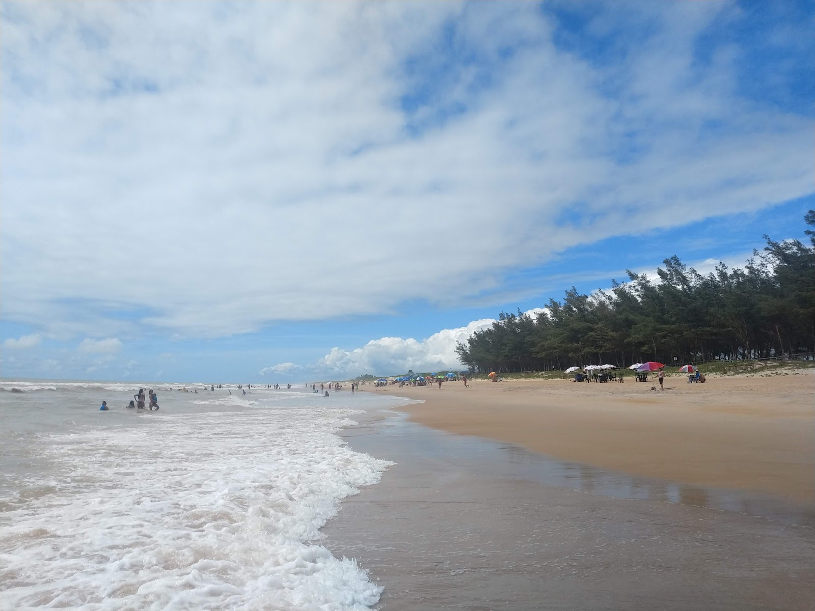 Bosque da Praia'in fotoğrafı ve yerleşim