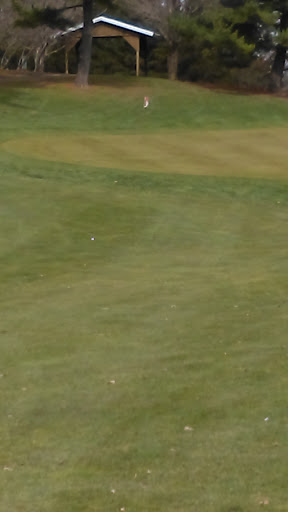 Golf Club «Pine Hill Golf Course», reviews and photos, 4382 Kauffman Rd NW, Carroll, OH 43112, USA