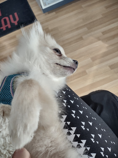 Beauty Salon «Salon Delonjay», reviews and photos, 13128 Shelbyville Rd, Louisville, KY 40243, USA