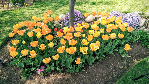 Landscaper «Elite Grounds L.C.», reviews and photos, 800 S Main St, Pleasant Grove, UT 84062, USA