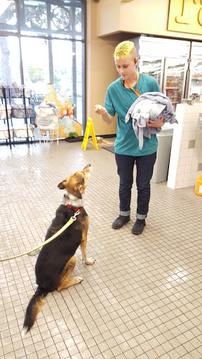 Pet Supply Store «Pet Food Express», reviews and photos, 3910 Middlefield Rd, Palo Alto, CA 94303, USA