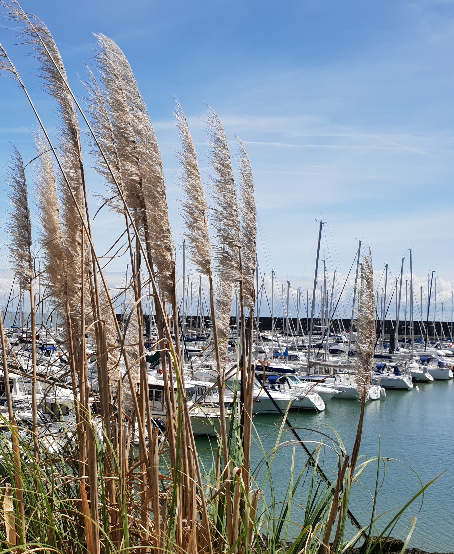 Photo n° 1 de l'avis de Isabelle.e fait le 01/06/2018 à 15:57