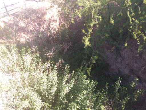 Theme Park «Old Tombstone Wild West Theme Park», reviews and photos, 339 S 4th St, Tombstone, AZ 85638, USA