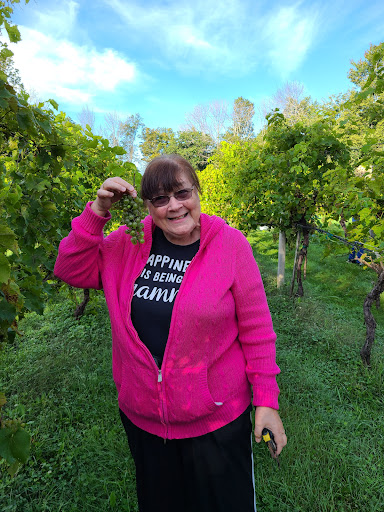 Winery «Gilmanton Winery and Restaurant», reviews and photos, 528 Meadow Pond Rd, Gilmanton, NH 03237, USA