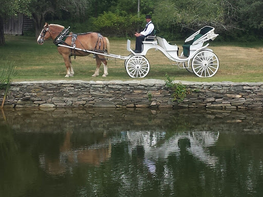 Carriage ride service Springfield