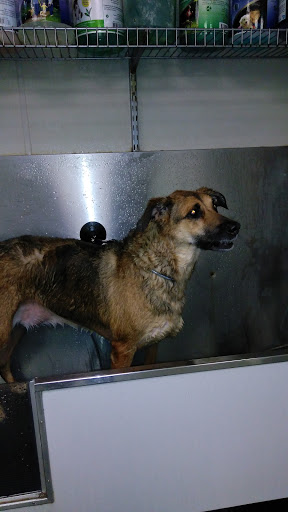 Pet Supply Store «IncrediPet», reviews and photos, 306 Southland Dr, Lexington, KY 40503, USA