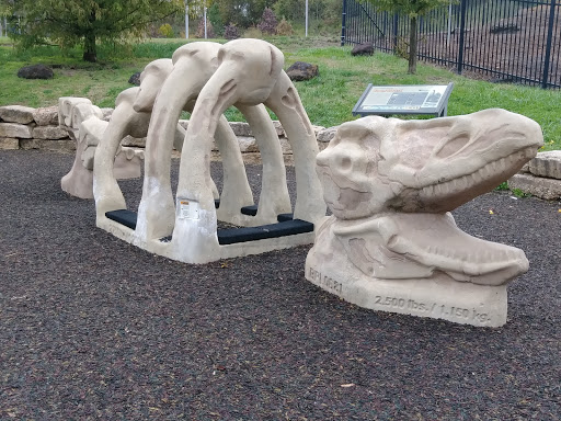 Park «Dinosaur Park», reviews and photos, 13100 Mid Atlantic Blvd, Laurel, MD 20708, USA