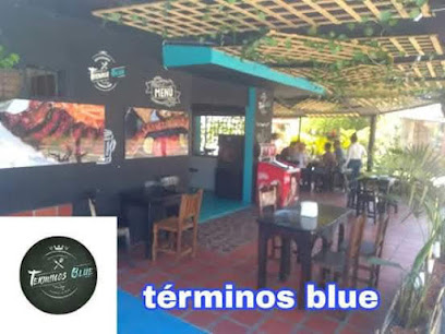 Restaurante Parrilla Bar Términos Blue
