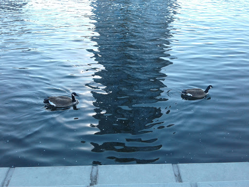 Park «Confluence Park», reviews and photos, 2250 15th St, Denver, CO 80202, USA