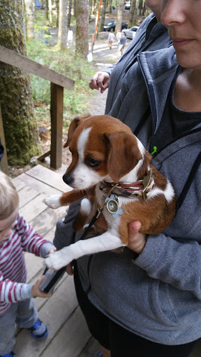 Campground «Camp Dakota», reviews and photos, 1843 Crooked Finger Rd NE, Scotts Mills, OR 97375, USA