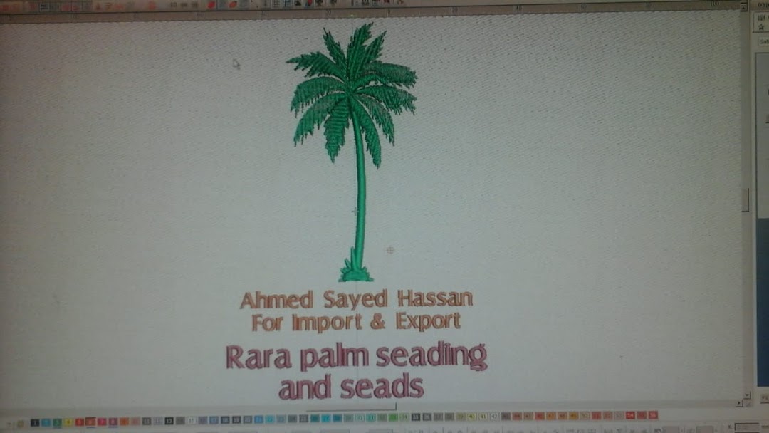 Rara palm seedling