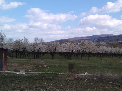 Photos of Хотел Галант