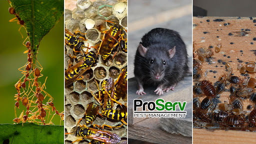 ProServ Pest Management