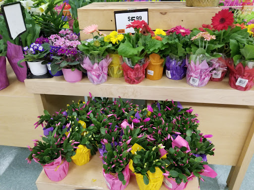 Grocery Store «Stop & Shop», reviews and photos, 90 Pleasant Valley St, Methuen, MA 01844, USA