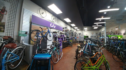 Bicycle Store «Metro Bike», reviews and photos, 46575 Hayes Rd, Shelby Charter Township, MI 48315, USA