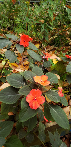 Nature Preserve «Welwyn Preserve», reviews and photos, 100 Crescent Beach Rd, Glen Cove, NY 11542, USA