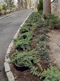 Aguilar Landscaping - Photo 8 - Car repair in Bridgeport, CT, Bridgeport