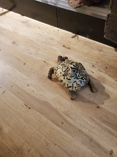 Pet Store «Critter Cabana», reviews and photos, 516 E 1st St, Newberg, OR 97132, USA