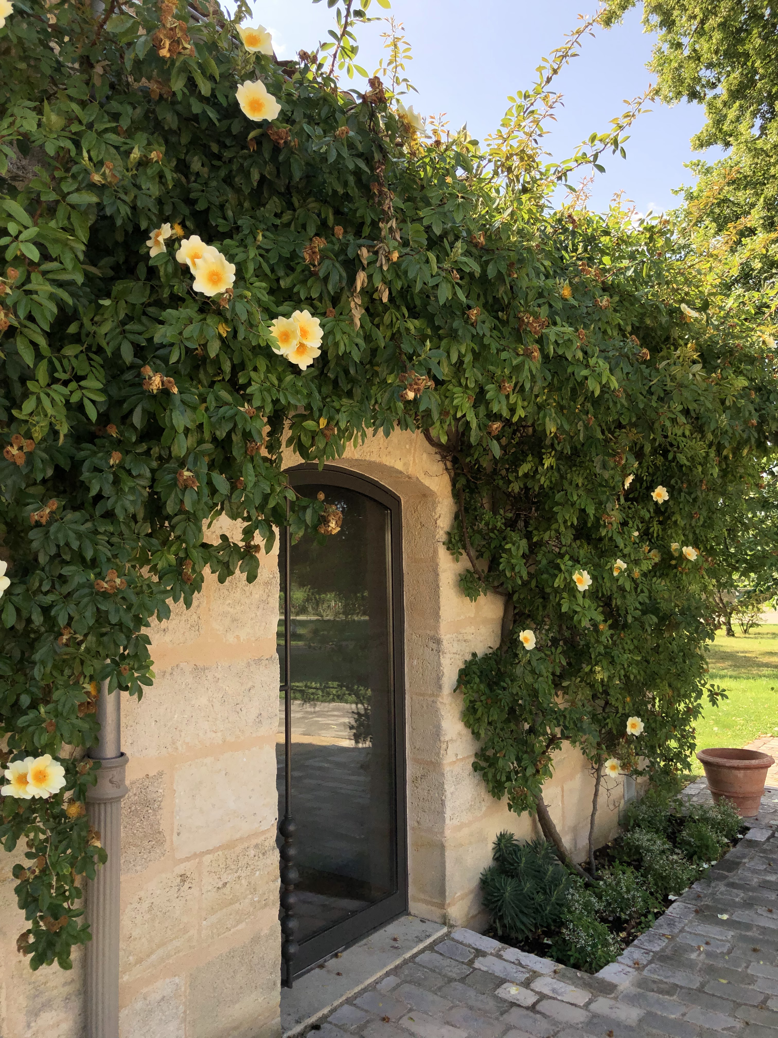 Photo n° 3 de l'avis de Alessandra.e fait le 09/07/2019 à 10:26