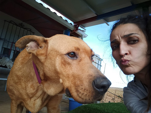 Clínica Veterinaria Marpe en Villafranca de los Barros