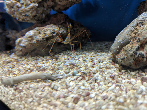 Pet Supply Store «Petco Animal Supplies», reviews and photos, 4491 Kirkwood Hwy, Wilmington, DE 19808, USA