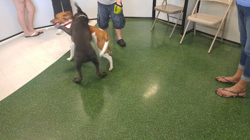 Pet Supply Store «Petco Animal Supplies», reviews and photos, 990 Brook Forest Ave, Shorewood, IL 60431, USA