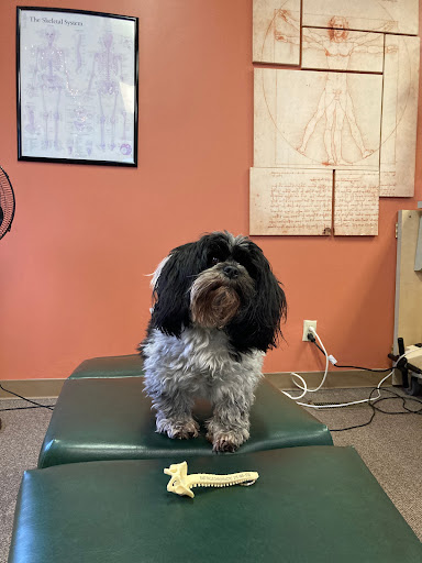 3425 Conrad St, Philadelphia, PA 19129, USA